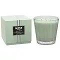 NEST Fragrances Vela perfumada de lujo con aroma a menta y eucalipto