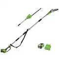 Greenworks G40PSHK2 Sega e Tagliasiepi ad Asta a Batteria 2 in 1 con Tracolla, Barra 20cm, Lame a Doppia Azione 51cm, 40V 2Ah e Caricabatterie, Garanzia 3 Anni