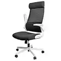 MELOKEA Ergonomic Office Chair with Lumbar Support, Desk Chair High Back Mesh Office Chair with Flip-up Armrests Adjustable Headrest, Computer Office Chairs for Home Black