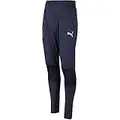 PUMA Pantalon de Football FIGC Train Pant Pro