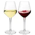 MICHLEY Unbreakable Stemmed Wine Glass 100% Tritan Plastic Dishwasher Safe Glassware 15 oz, Set of 2