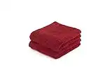 Top Towel - Lot de 2 Serviettes Bidet - Serviettes de Bain - Petites Serviettes - 100% Coton peigné - 600 g/m² - Dimensions 30x50 cm