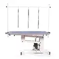 Pedigroom Large Professional Heavy Duty Hydraulic Dog Grooming Table with H Bar Blue