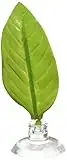 Zoo Med Floating Leaf Hammock Betta Bed Hamac Form Feuille pour Aquariophilie, Vert, 1 Unité (Lot de 1)