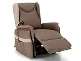 SEADA Poltrona Relax Alzapersona Elettrica Motorizzata 2 Motori Per Anziani Disabili Agevolazione IVA Ridotta 4% Portata 130kg Reclinabile Con Telecomando, 87x76xH102cm (Similpelle Marrone)