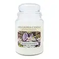 Amazzonia Candle Coconut Vanilla 530 Gr, Candela Profumata Naturale, Candela in Cera di Soia, Profumatore per Ambiente, Candela Bianca Decorativa, Giara in Vetro