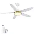 ALUOCYI Modern Ceiling Fan with Light and Remote Control, 56 Inch Ceiling Fan with 3 color lights,Memory function,5 Blades, 6 Speeds, for Living Room, Bedroom,Kitchen,Gym,Garage,Gold-White