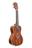 Kala Satin Mahogany Concert Ukulele with White Binding (KA-C),Brown