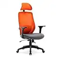 HNNHOME Recline Ergonomic Office Chair with Back Support and Headrest, Tilt Function Position Lock, Home Office Computer Desk Chair with Lumbar Support, Breathable Mesh Executive Office Chair