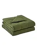 BB BLINBLIN Adult Weighted Blanket Heavy Blanket, Calm and Sleep, Premium Soft and Comfortable Material and Glass Beads (Green, 60''x80'' 15lbs), Suit for Adult(~140lb) Use on Queen/King Bed