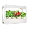 TORCHSTAR LED Indoor Herb Garden, CRI 95+, Herb Grower Light with Timer, Indoor Gardening System, Full Spectrum Light, 24V Garden Kit for Plant Grow Novice, White, 4000K, Pots & Plants Not Included