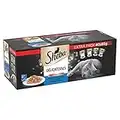 SHEBA Délicatesses - Sachets Fraîcheurs en Sauce, Sélection aux poissons pour Chat Adulte - 40 x 85g