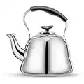 Tea Kettle Stovetop Whistling Teakettle Teapot, Stainless Steel, Thin Base, Mirror Finish, 2 litres