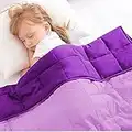 ROKDUK Weighted Blanket Kids 3 Pound 36x48 in, 1800 Brushed Microfiber Breathable & Hypoallergenic Toddler Weighted Blanket Non-Toxic Glass Beads, Small Heavy Blanket Throw (Purple & Lavender)