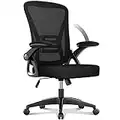 naspaluro Office Chair Ergonomic Desk Chair with 90° Flip-up Armrest Lumbar Support, Height Adjustable Office Desk Chair, Executive Swivel Computer Chair with Padded Seat Cushion for Home/Office