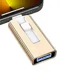 Sunany USB Flash Drive 256 GB for Phone and Pad, High Speed External Thumb Drives USB Memory Storage Photo Stick for Save More Photos and Videos (Gold)