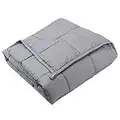 Dreambeauty Weighted Blanket (41''x60'', 10lbs for 80-120lbs Individual, Grey) 丨Premium Cotton with Glass Beads丨Great Sleep for Kids, Girls and Boys丨fit Twin or Full Size Bed