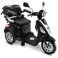 Rolektro E-Trike 25 V.3 Pro Dreirad Schwarz - 1000W Elektromobil - 70km Reichweite - herausnehmbarer Lithium Akku - Seniorenmobil mit Straßenzulassung