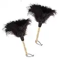 Midoneat Natural Black Ostrich Feather Duster,2 Packs,Car Duster Interior/Exterior Cleaner,Duster for Blinds Kitchen Keyboard Office, Smart and Soft and Fluffy Duster (Black)