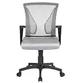 Yaheetech Adjustable Desk Chair Executive Computer Office Chair Ergonomic Swivel Mesh Chair with Comfy Lumbar Support and Arms for Home Light Grey