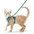 rabbitgoo Pettorina per Gatti con Guinzaglio, Set di Pettorina Gatto Cane Taglia Piccola Antifuga, Regolabile Riflettente, Morbido, Pettorina per Cuccioli Gattini per Corsa, Passeggiate(S, Verde)