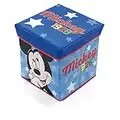 ARDITEX WD13015 Asiento Guardatodo Textil Plegable de 30x30x30cm de Disney-Mickey