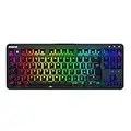 Fnatic miniStreak - LED Backlit RGB Mechanical Gaming Keyboard - Cherry MX Silent Red Switches - Small Compact Portable Tenkeyless Layout - Pro Esports Gaming Keyboard (UK Layout, QWERTY)