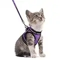 rabbitgoo Cat Harness and Leash Set for Walking Escape Proof, Adjustable Soft Kittens Vest with Reflective Strip for Cats, Comfortable Outdoor Vest, Purple, S