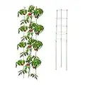 Relaxdays Rankhilfe, 2er Set, Tomatensäule für Garten & Balkon, 150 cm, je 5 Ringe, Pflanzstäbe Eisen & Kunststoff, grün