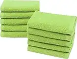 ZOLLNER 10 asciugamani da viso, 100% cotone, 30x30 cm, verde