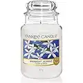 Yankee Candle Company Midnight Jasmine Large Jar Candle