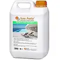 TECNOCLEAN PISCINAS de Tecno Prodist(5 Litros)Limpiador de piedras de coronación, piscinas, piedra artificial, baldosas y gresite. Gran poder de limpieza sobre todo tipo de materiales de construcción