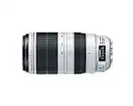 Canon EF 100-400mm f/4.5-5.6L is II USM Lens