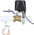 Contrôleur de valve intelligent WiFi, interrupteur d'arrosage intelligent, télécommande sans fil, fonction minuterie, compatible avec iOS/Android, prend en charge Alexa Echo, Google Assistant