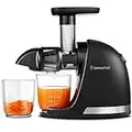 AMZCHEF Slow Juicer Machine - Masticating Juicer with Reversing Function to Prevent Jamming - Cold Press Juicer with Brush and 2 Cups - Silent Juice Extractor - Black