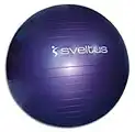 Gymball parme Ø75 cm bte