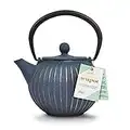 Small Japanese Blue & Gold Cast Iron Teapot / Tea Kettle (500ml/2.5 Cups)