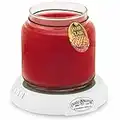 Candle Warmers Etc. Original Candle Warmer Plate (White, Plug-in) – Electric Candle Wax Melter Plate for jar Candles