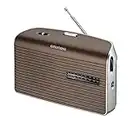 Grundig Micro Boy 60 Radio-réveil Brun/Argent