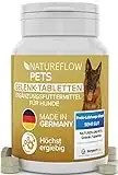 Gelenktabletten - TESTSIEGER Made in Germany für Hunde mit Grünlippmuschel , MSM und Teufelskralle - Keine Kapseln, hohe Akzeptanz beim Hund - 100 Stück für bis zu 6 Monate