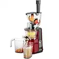 Extracteur de jus de fruits et légumes 2 vitesses Slow juicer 500W Machine à jus 60 tours/min Large bouche 81 mm