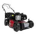 Sprint 2691794 420SP Self-propelled Petrol Lawn Mower, 16"/41 cm, Briggs & Stratton 300E Series Engine 125cc , Red