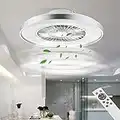 BKZO 60CM LED Ceiling Light with Fan, Ceiling Fan Lights 24 Levels Wind Speeds, Stepless Dimming Light, Modern Fan Lighting for Living Room, Dining Room, Bedroom, Office, 3000-5500K, Silver Frame