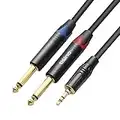 Tisino Câble Audio Jack 3,5 mm vers 2 x 6,3 mm, Double 6.35mm Jack Mono vers 3.5mm Y Splitter Câble Connecteur pour Haut-parleurs, Table de Mixage, Cinéma Maison etc.- 2M