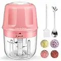 Rechargeable Portable and Cordless Mini Food Processor 250ML with Stainless Steel Blade, Electric Garlic Chopper Vegetable Chopper Blender for Nuts Chili Onion Minced Meat and Spices BPA-Free(Pink)