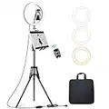 Elitehood 12’’ Ring Light with Tripod Stand (72’’ Tall) & iPad/Phone Holder, Dimmable Selfie Circle LED Lights Ringlight for Video Recording, Conference, Makeup, Laptop, Computer, Webcam, YouTube