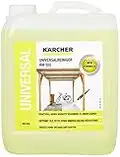 Kärcher Universalreiniger RM 555 für Hochdruckreiniger (Volumen: 5,0 l, biologisch abbaubar, äußerst materialschonend, pH neutral)