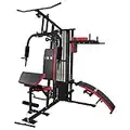 ISE 50en1 Station de Musculation, Station Musculation Multifonction, Musculation Banc, Fitness Multifonction Home Gym Station avec Poids,Entraînement Bras/Épaules/Poitrine/Abdomen/Dos & Jambe, SY-4009