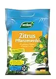 Westland Zitruspflanzen Erde, 8 l – Erde mit Tongranulat für gesunde Zitronenpflanzen, Zitruserde zur optimalen Wasser- und Nährstoffversorgung