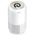 HEPA Air Purifier - Dreamegg Air Purifiers for Bedroom Allergies and Pets, 4-in-1 True HEPA & Activated Carbon Filter, Quiet 360° Air Intake Cleaner with Pet Mode Night Light for Home Smoker Office